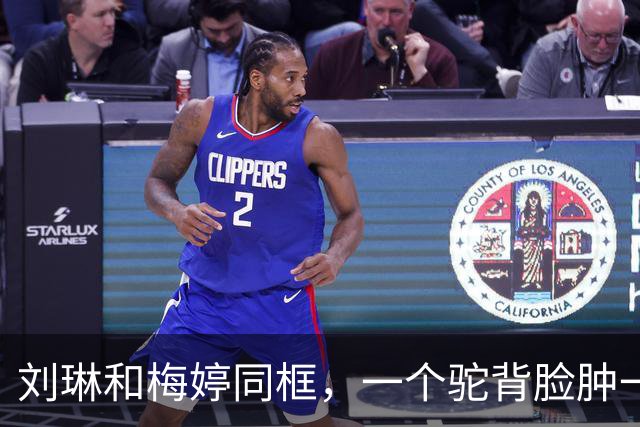 刘琳和梅婷同框，一个驼背脸肿一个苗条好嫩，皮相骨相区别明显